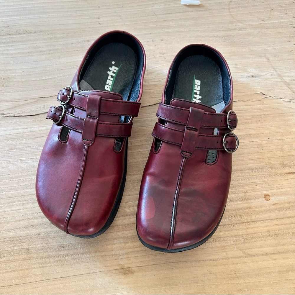 Earth Burgundy Casual Shoes